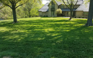 a large yard with green grass that has just been mowed